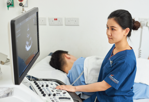 Allied health professionals play a vital part in caring for patients.