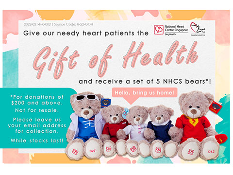 Gift of Health NHCS Fundraising Teddy Bears