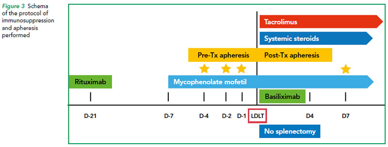 Schema of the protocol of immunosuppression and apheresis performed - SGH
