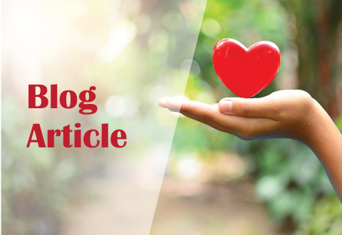 Blog Article for Heart Patients: Can Coronary Artery Blockages Be Reversed?