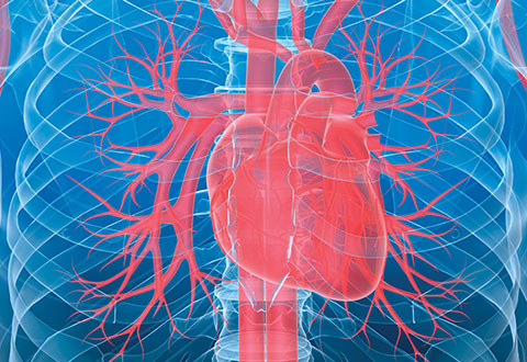 Heart Scans and Cardiac Risks