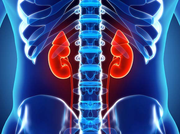 kidney cancer conditions & treatments